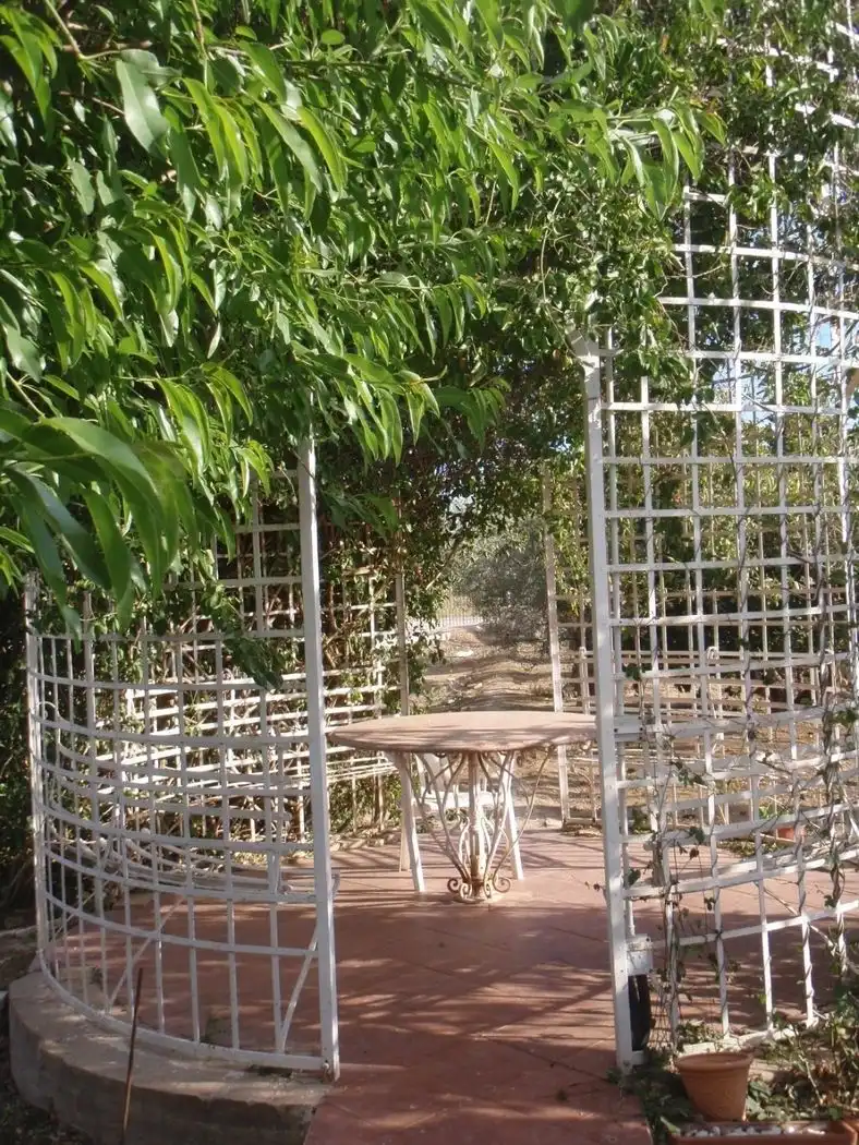 Jardí de Casa o xalet en venda en Cartagena amb Aire condicionat, Calefacció i Terrassa