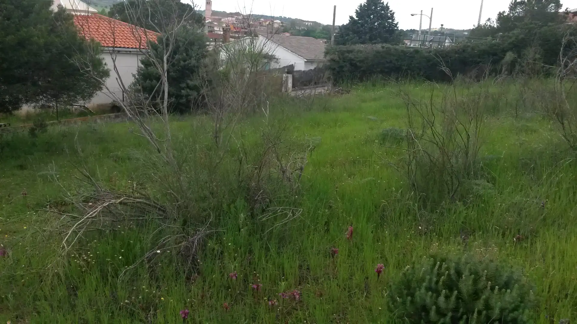 Wohnbaugrundstück zum Verkauf in Calle de los Santos 10, imagen 6