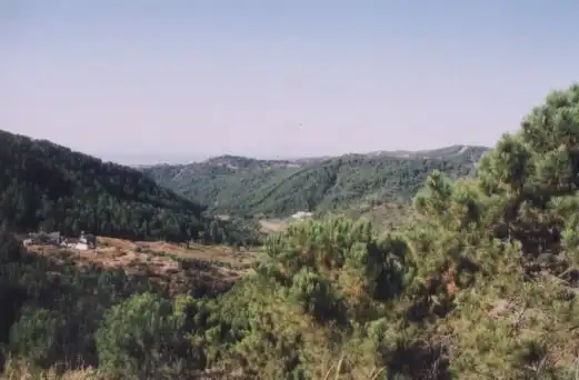 Terreni e lotti in vendita a Estepona - Estepona,Centro,Camino de Montesol, imagen 11