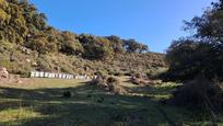 Exterior view of Land for sale in Villanueva de la Concepción