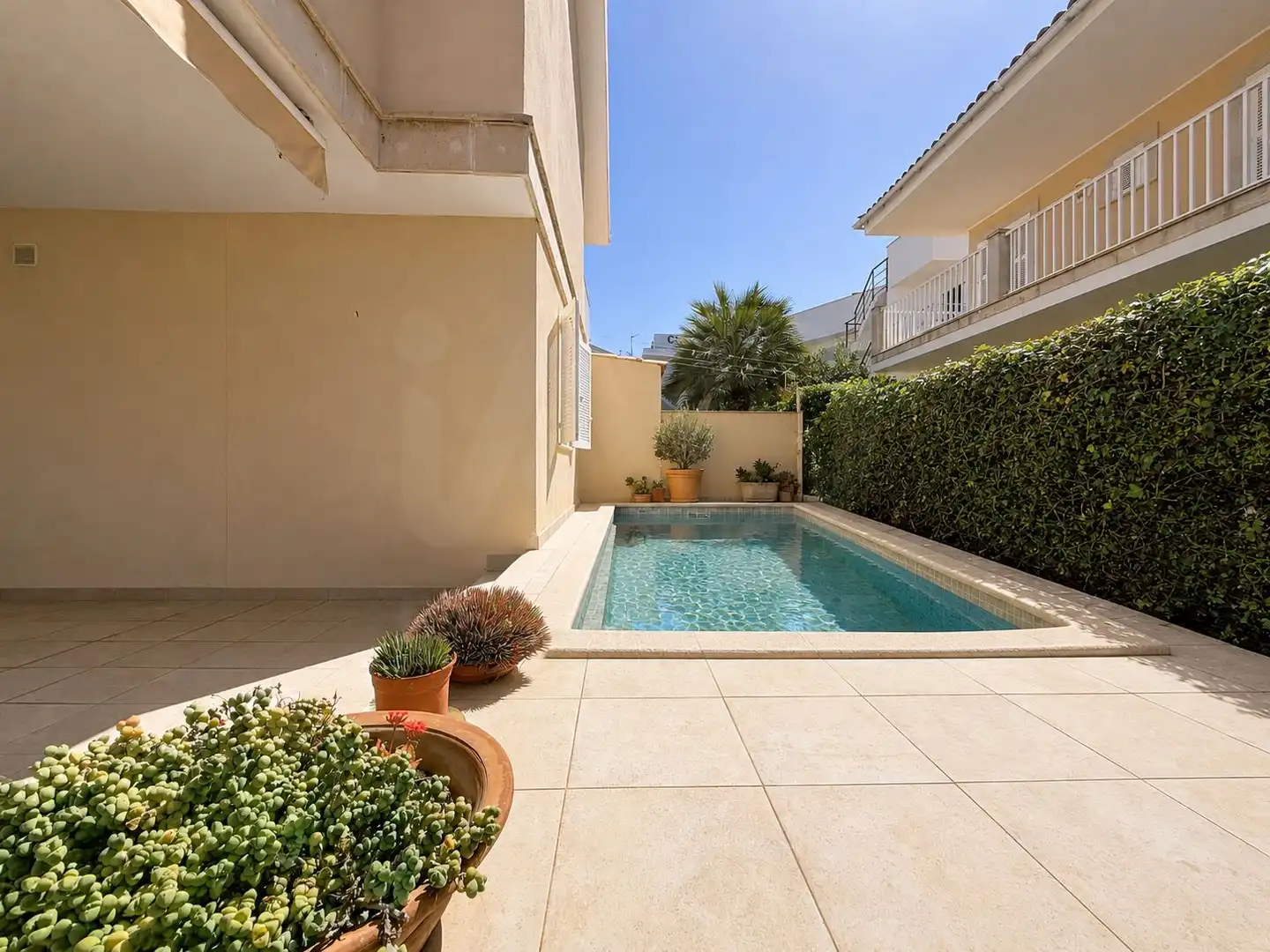 Piscina de Casa o chalet en venta en Alcúdia con Terraza