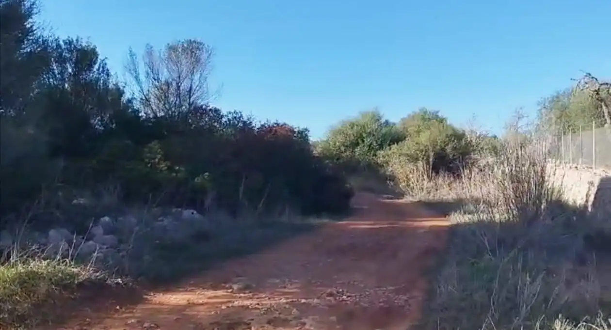 Terreno rustico in vendita a 0, imagen 5