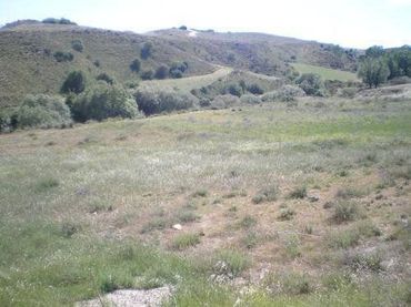 Terrain rustique à vendre à Polígono Polígono 8 Parcela 151 151