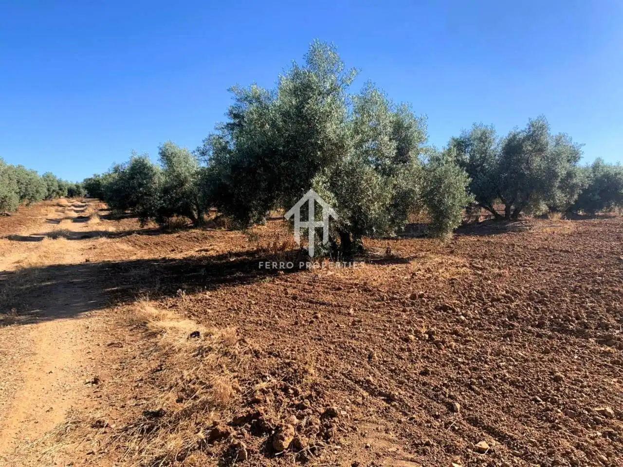 Terrain rustique à vendre à Loja, imagen 3