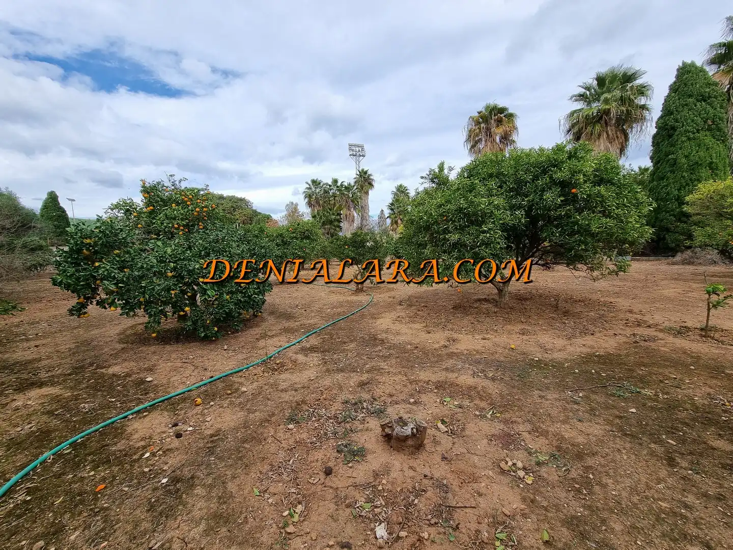 Terreno residenziale in vendita a Las Marinas / Les Marines, imagen 2