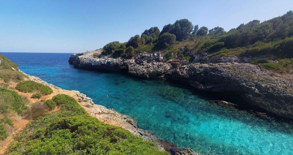 Exterior view of Land for sale in Manacor