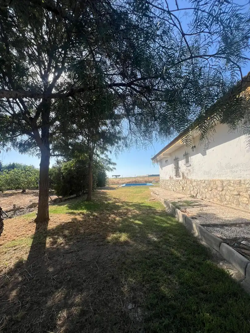 Casa o xalet en venda a Calle Nardo, Carmona