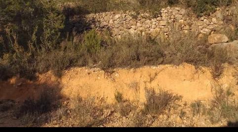 Photo 4 of Land for sale in De la Masada, Bítem, Tarragona