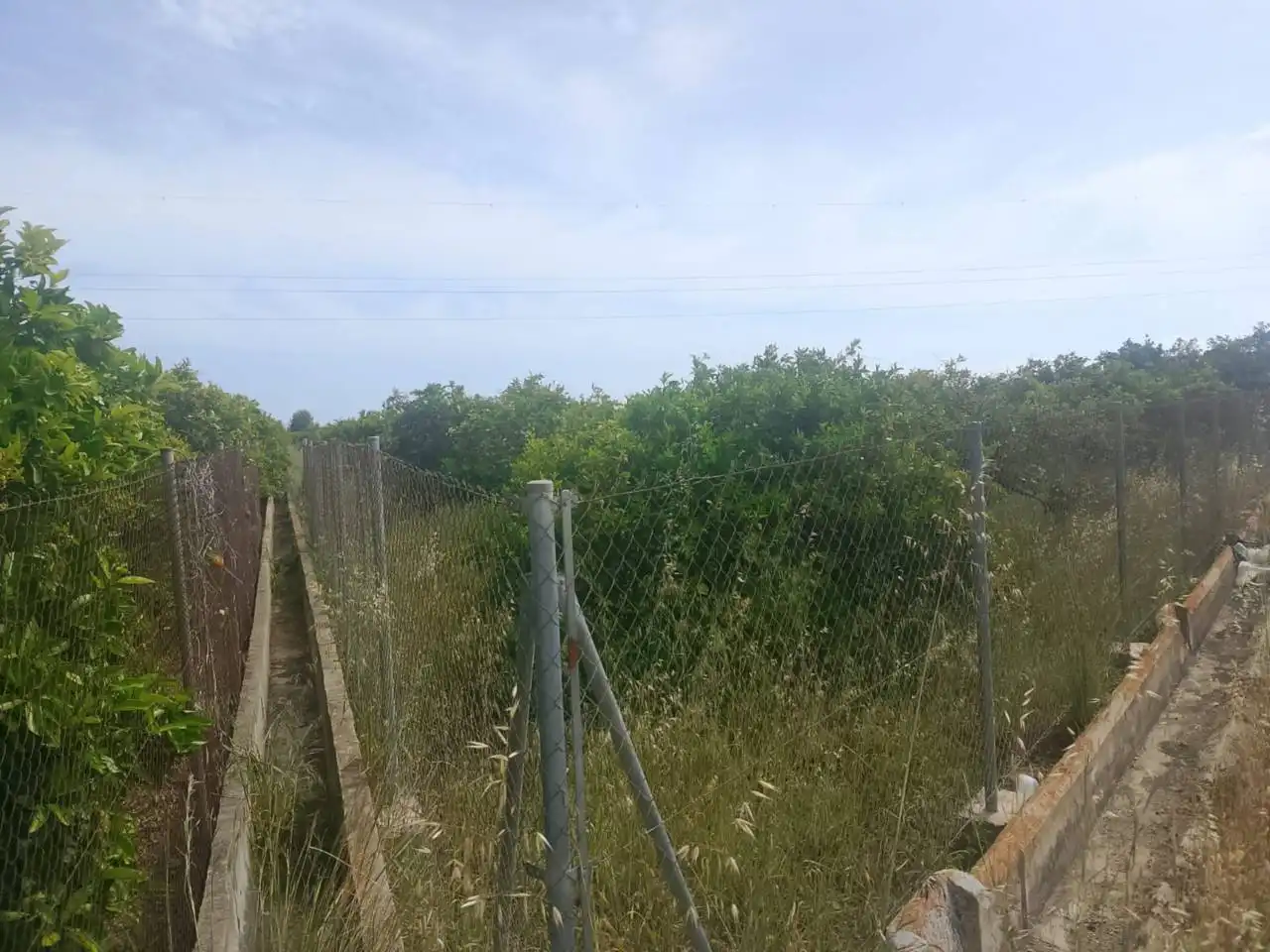 Rural land for sale in Camino Torre de los Pares, imagen 9