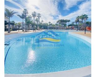 Swimming pool of Apartment for sale in La Oliva