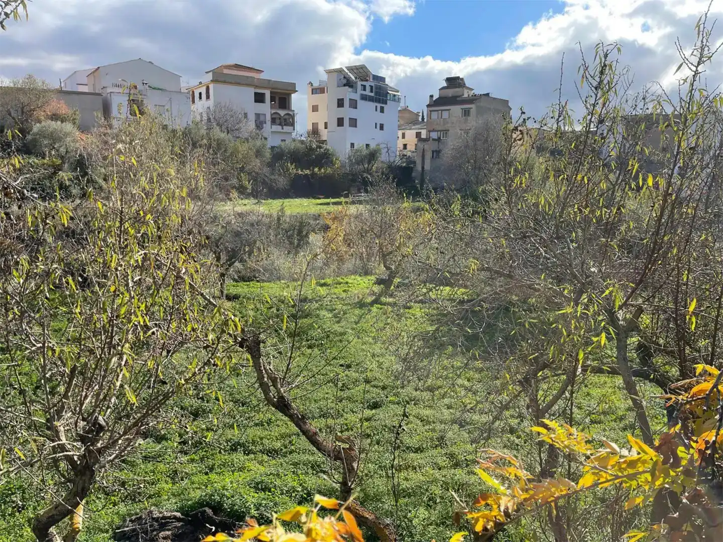 Casa o xalet en venda en Cádiar amb Balcó