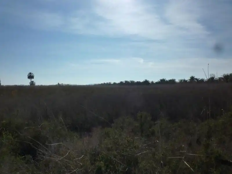 Terreno rustico in vendita a Calle Valle Inclán 7, imagen 19
