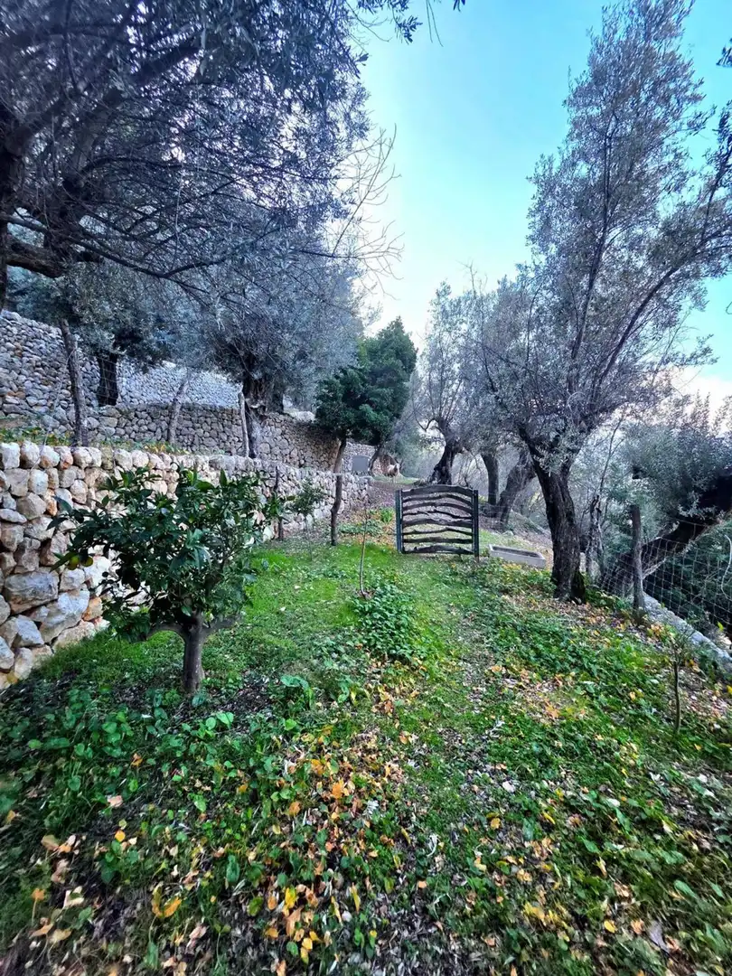 Jardí de Finca rústica en venda en Fornalutx amb Jardí privat