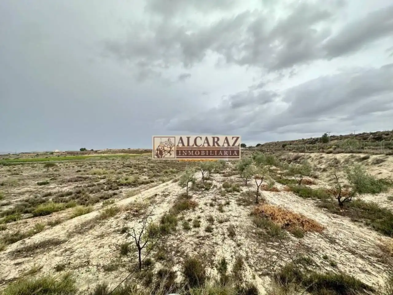 Casa o xalet en venda en Novelda amb Jardí privat i Terrassa