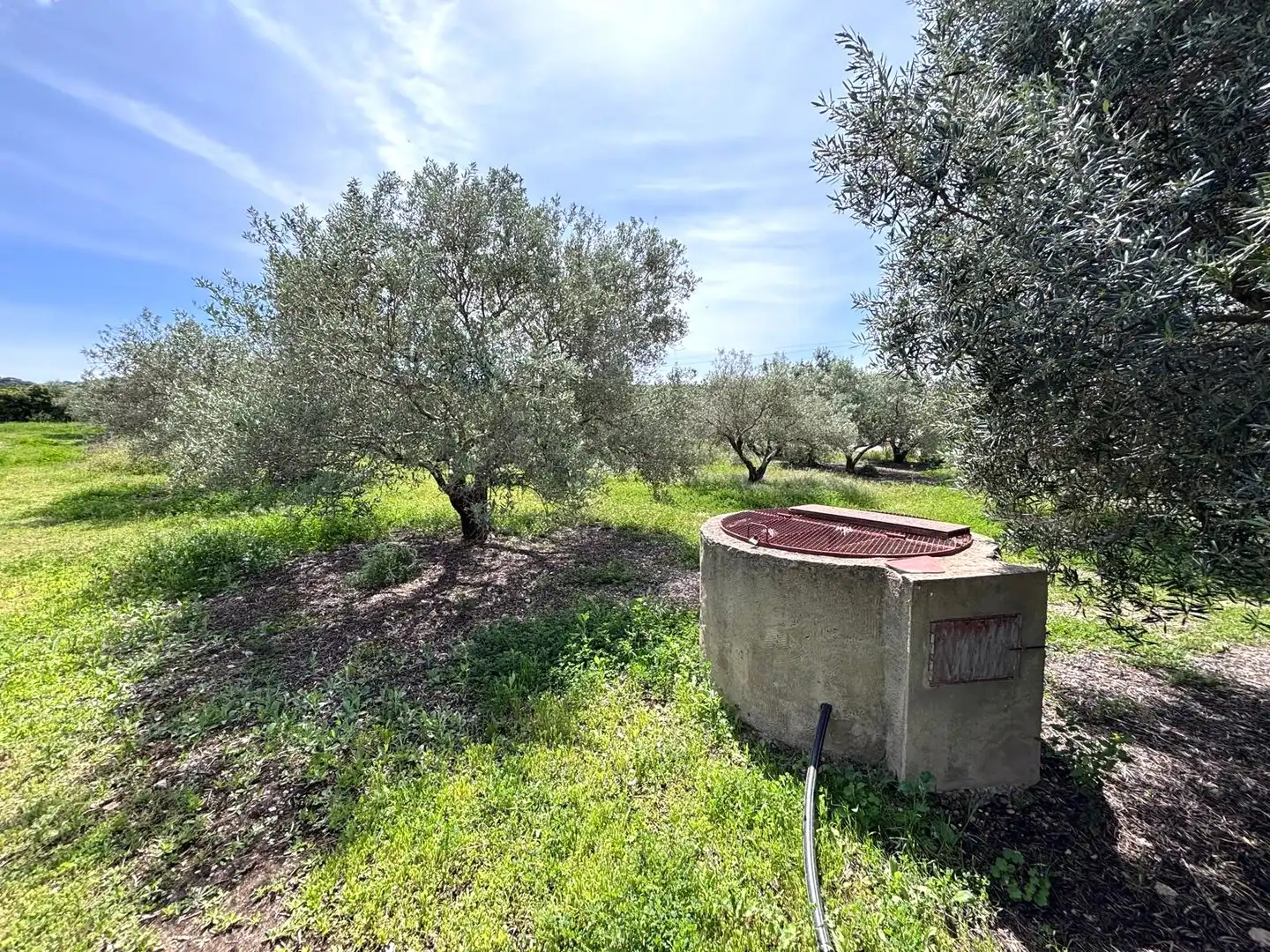 Terreni e lotti in vendita a Arcos de la Frontera, imagen 25