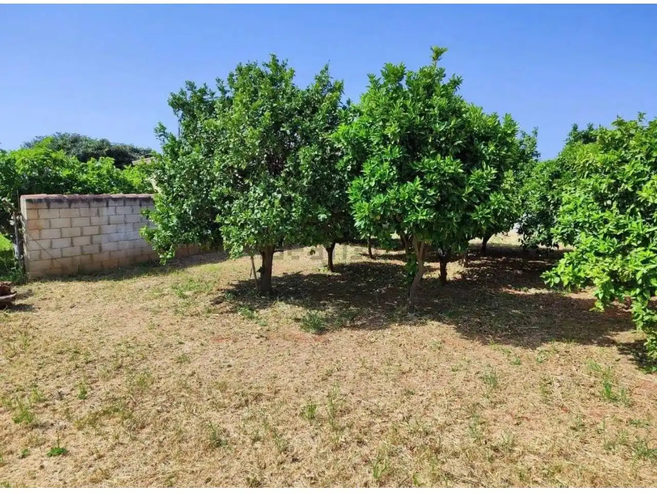 Flat for sale in Chiclana de la Frontera  with Private garden, Swimming Pool and Furnished