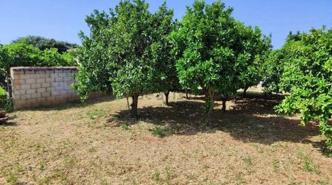 Photo 5 of Flat for sale in Las Lagunas - Campano, Chiclana de la Frontera