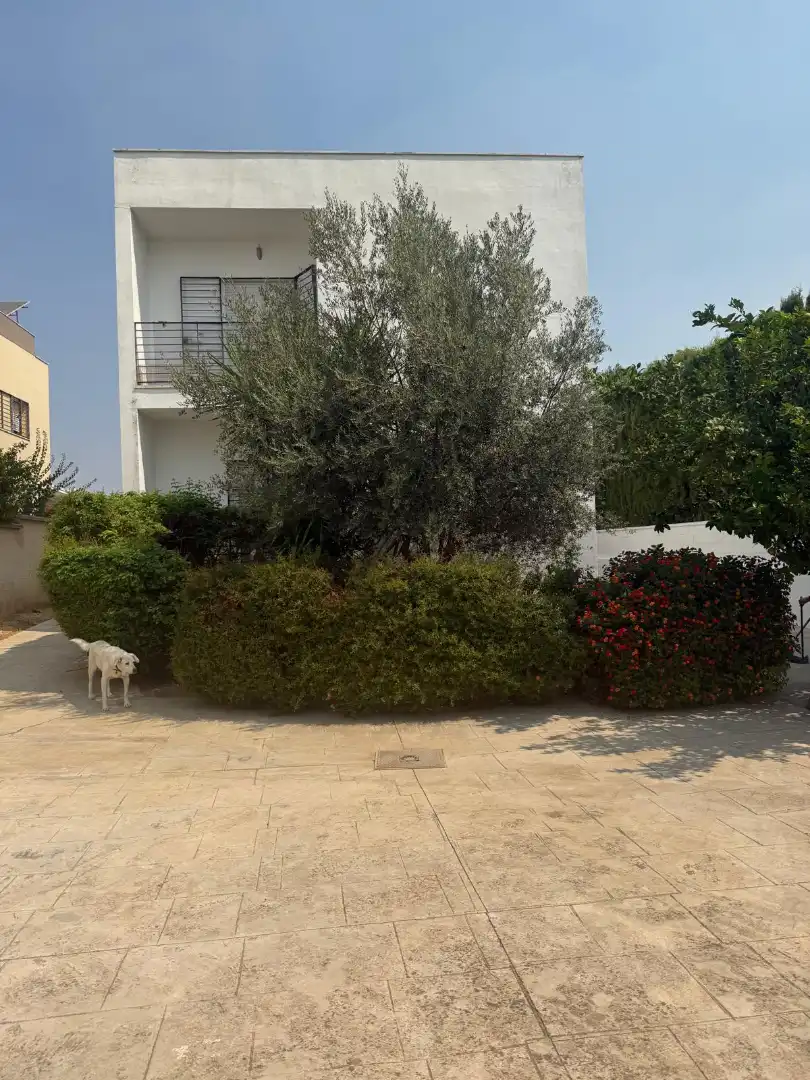 Jardí de Apartament de lloguer en Mairena del Aljarafe amb Calefacció, Moblat i Rentadora
