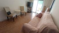 Living room of Flat for sale in Pineda de Mar