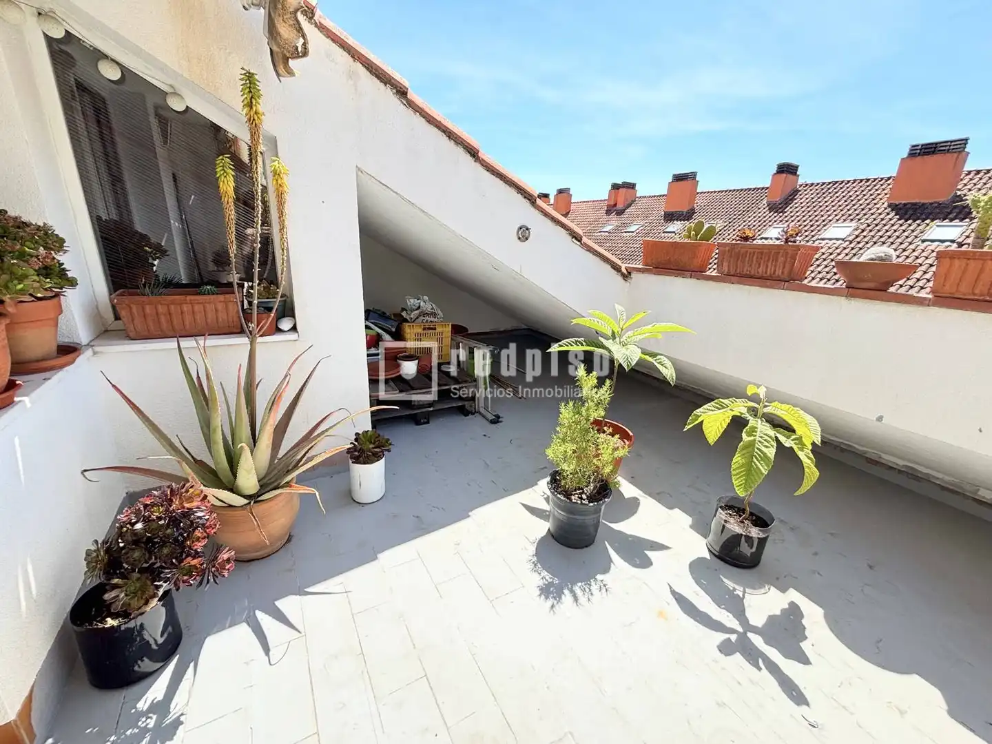 Detached house with pool for sale in Las Vegas - El Pozanco - Adelfillas, imagen 27