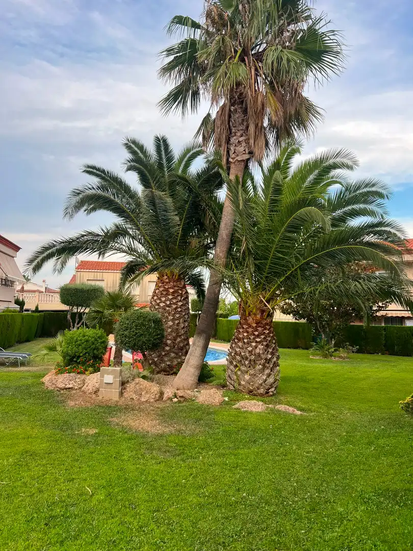 Reihenhaus mit Terrasse zum Verkauf in Avinguda Doctor Gil Vernet, imagen 21