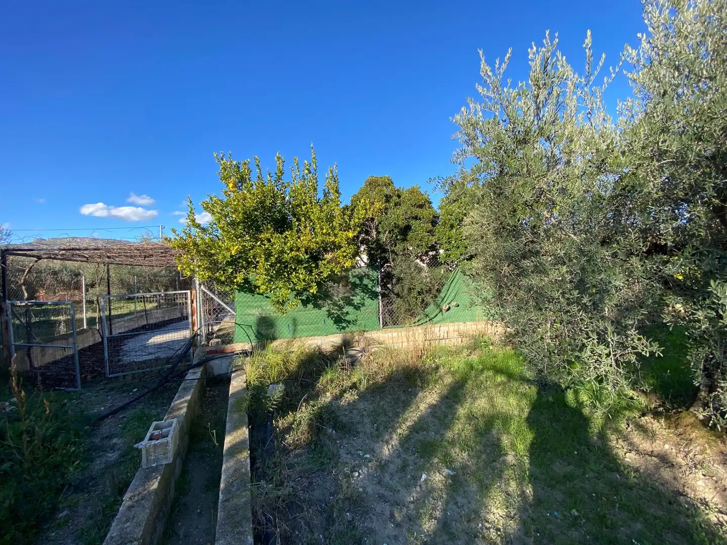 Villa avec piscine à vendre à Moratalla, imagen 34