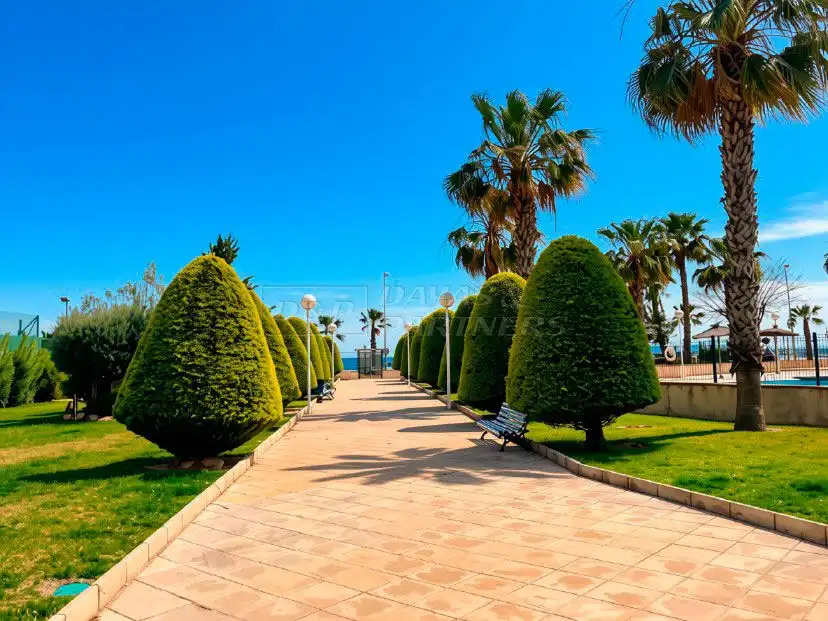 Exterior view of Apartments for rent in Orihuela  with Air Conditioner, Terrace and Balcony