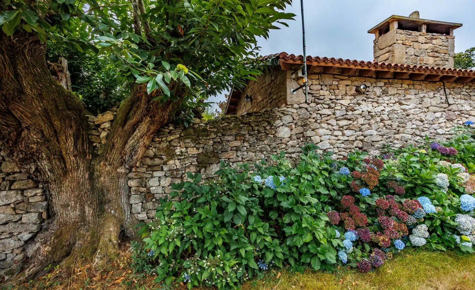 Vista exterior de Finca rústica en venda en Chantada amb Aire condicionat, Calefacció i Jardí privat