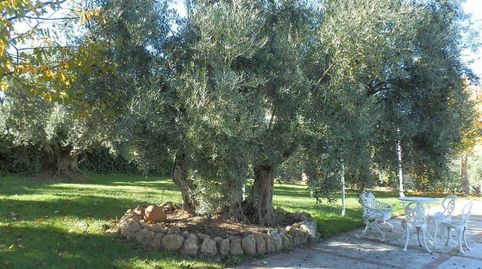 Foto 4 de Terreno en venta en Puente de Génave, Jaén