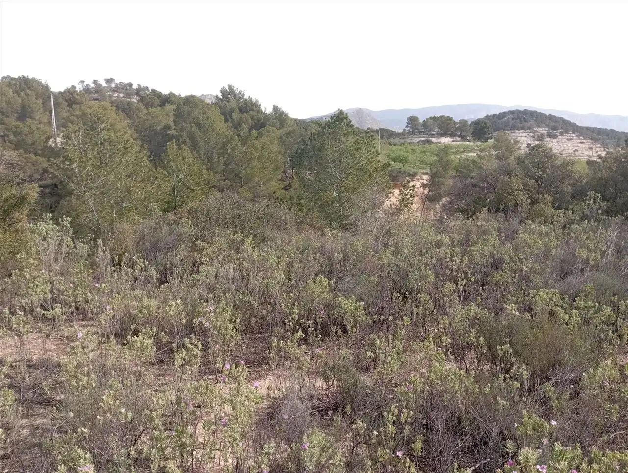 Residencial en venta en Relleu