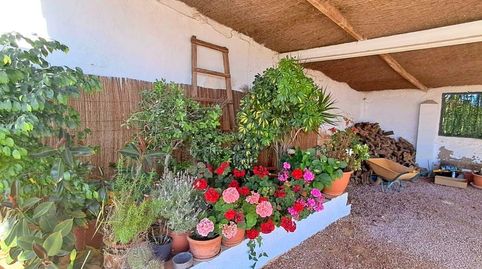 Foto 5 de Casa o xalet en venda a La Foia - Daimés - Asprella, Elche / Elx