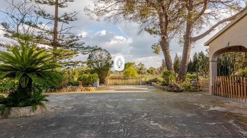 Foto 4 von Country house zum Verkauf in Polígono Inca, Centro, Inca