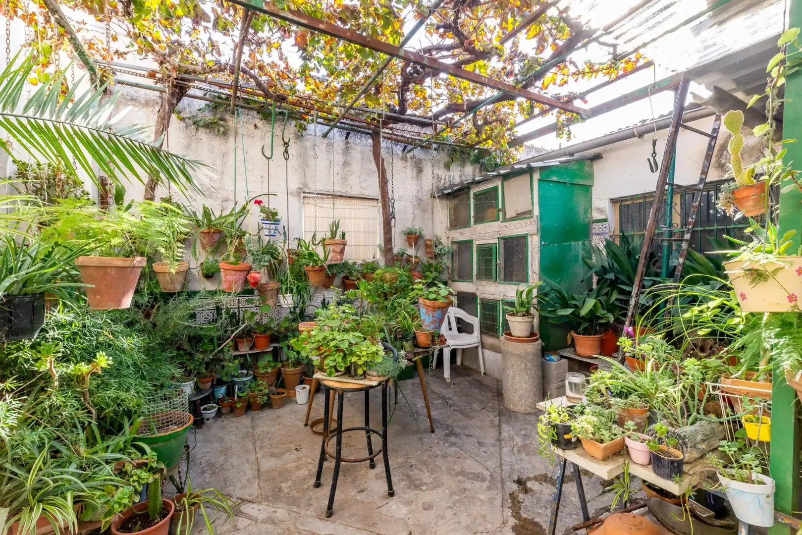 Terrassa de Finca rústica en venda en Fuente Vaqueros amb Jardí privat