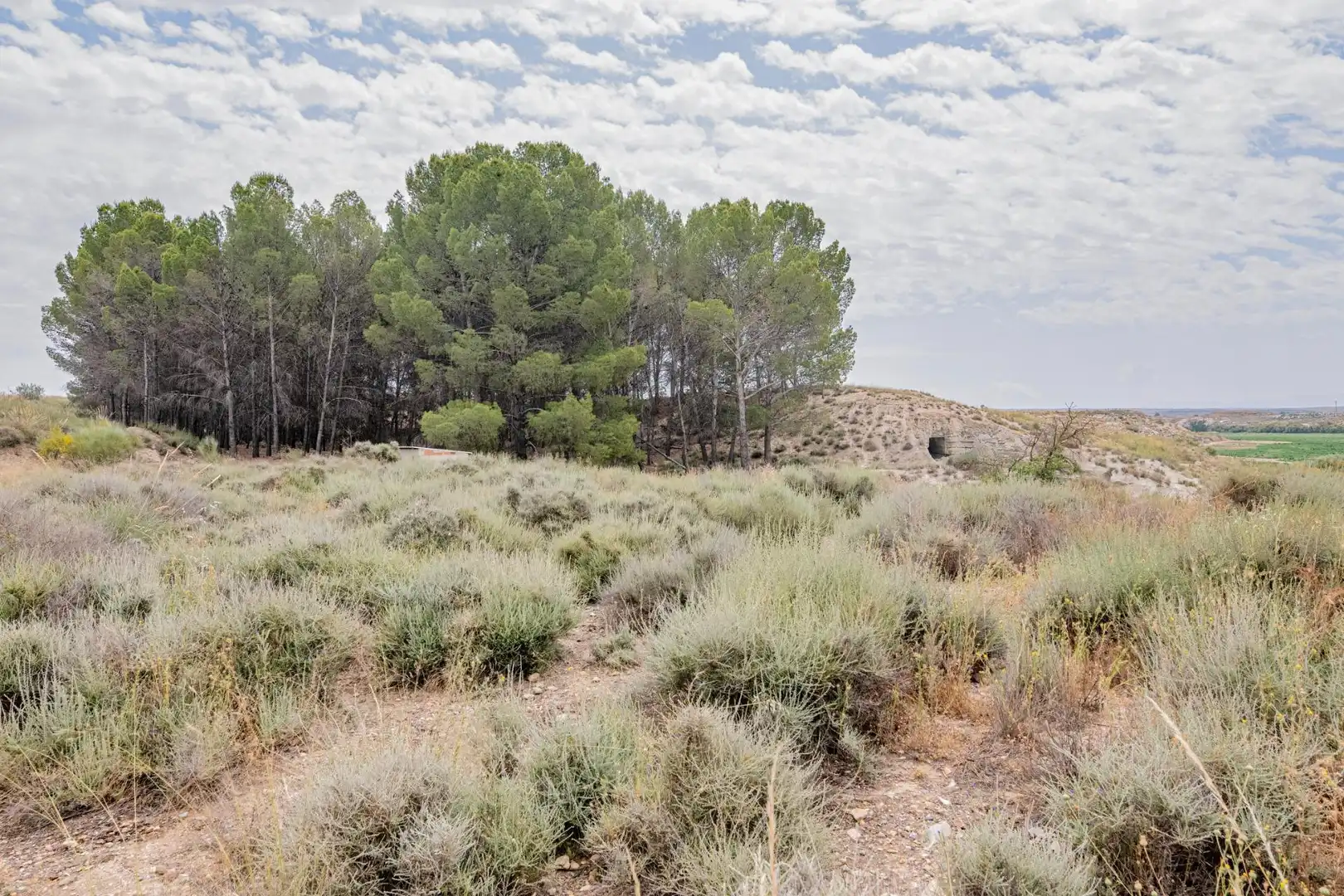 Apartamento en venta en Baza, imagen 24