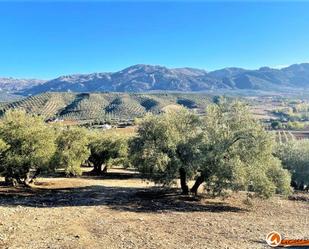 Exterior view of Land for sale in Villanueva del Rosario