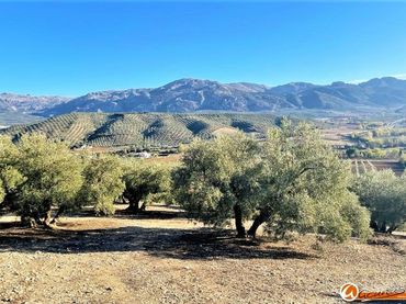Terreno rustico in vendita a Las Carboneras Altas