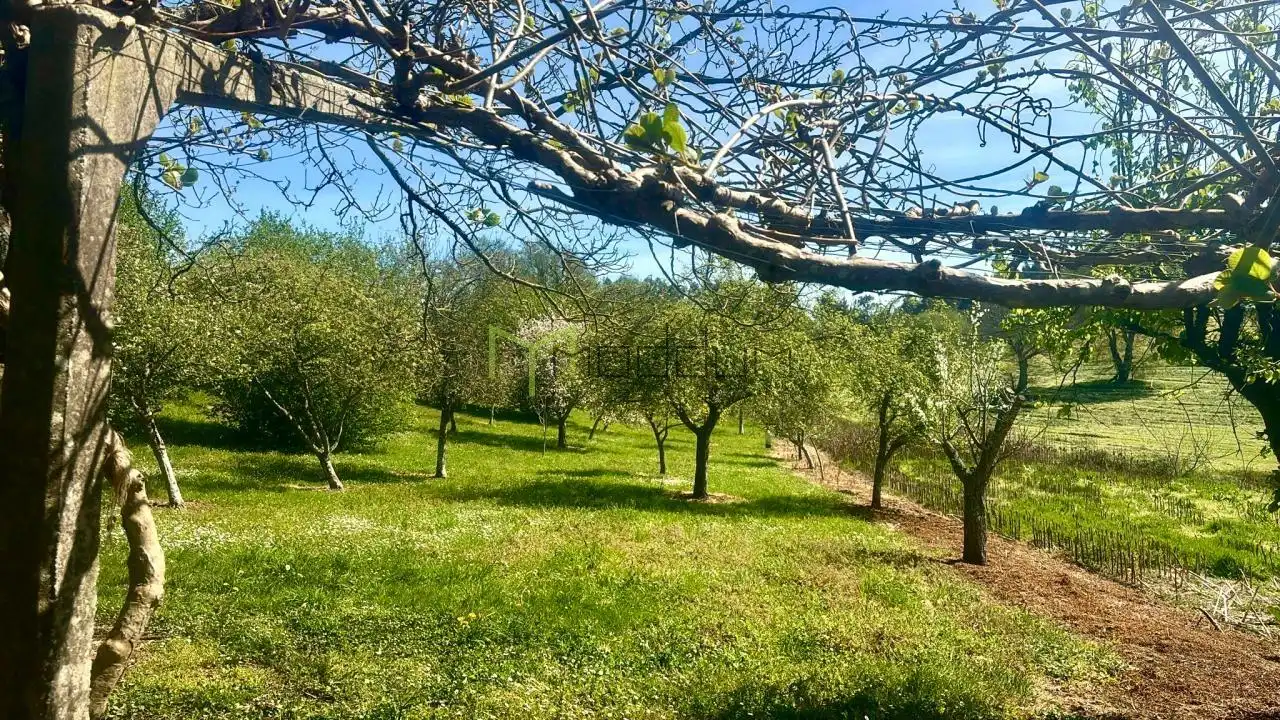 Casa amb jardí en venda a O Pino, imagen 14