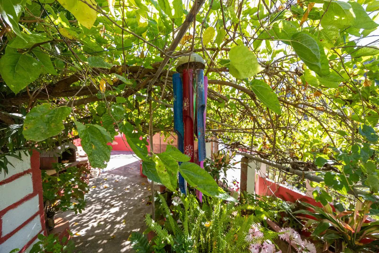 Casa rústica amb jardí en venda a Montaña Alta, imagen 50
