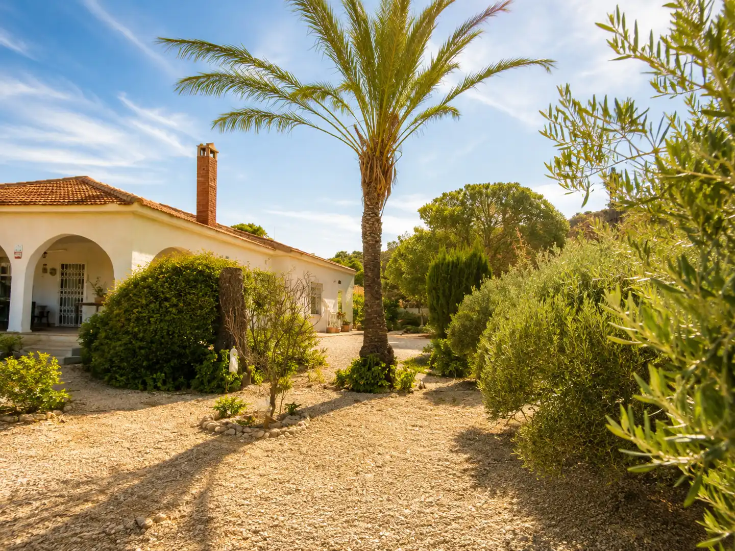 Jardí de Casa o xalet en venda en Alicante / Alacant