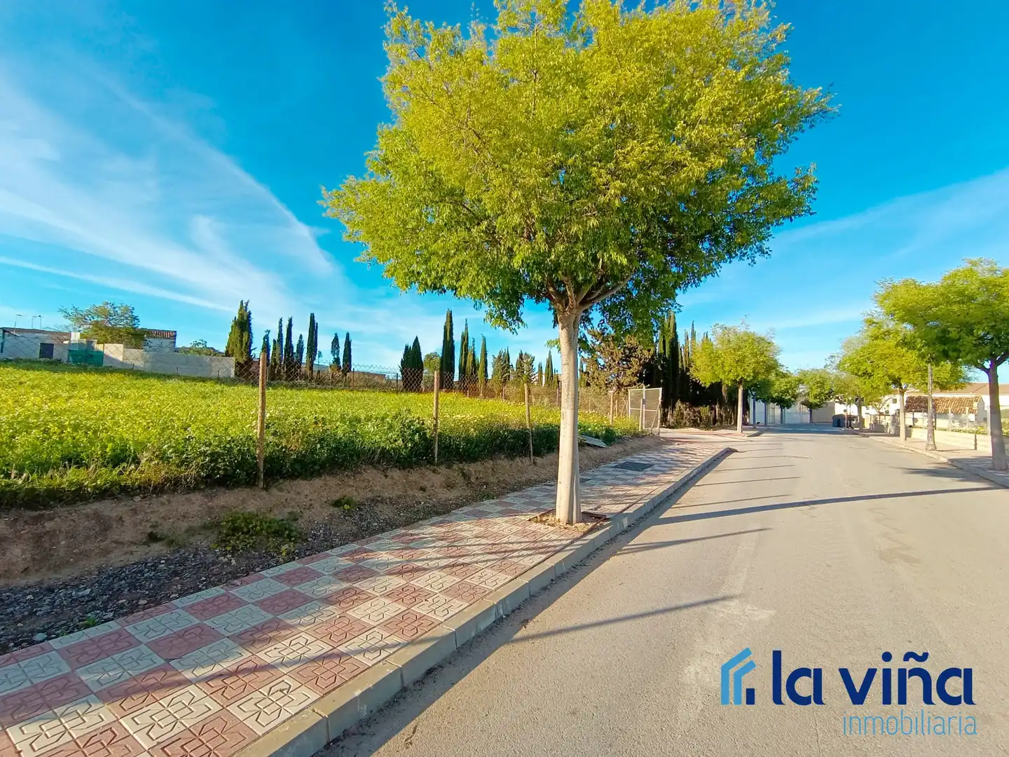 Rural land for sale in Mollina, imagen 6