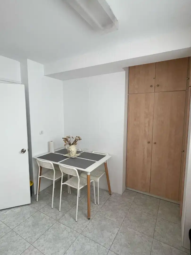 Comedor de Piso de alquiler en Málaga con Aire acondicionado, Amueblado y Lavadora