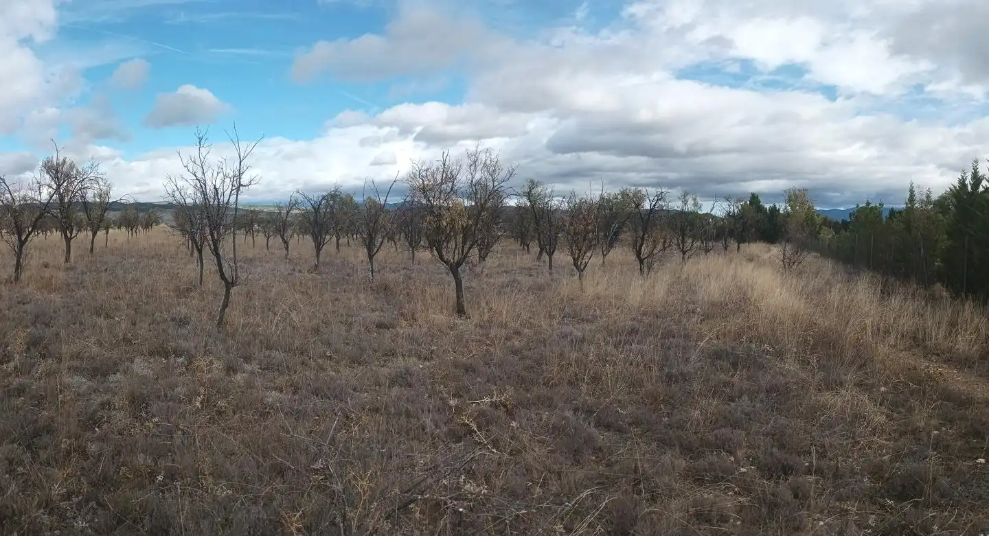 Terrenys i solars en venda a Paraje Campillo, imagen 2