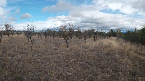 SE VENDE FINCA RÚSTICA PRÓXIMA AL CAMPO DE GOLF, imatge 2