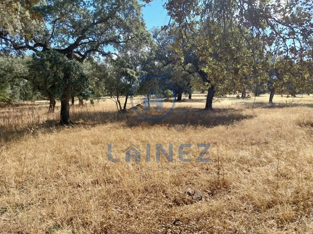 Lands and plots for sale in Fuente Obejuna, imagen 11