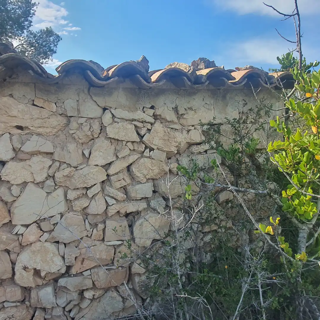 Terrain rustique à vendre à Benifallet, imagen 23