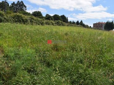 Rural land for sale in Arzúa