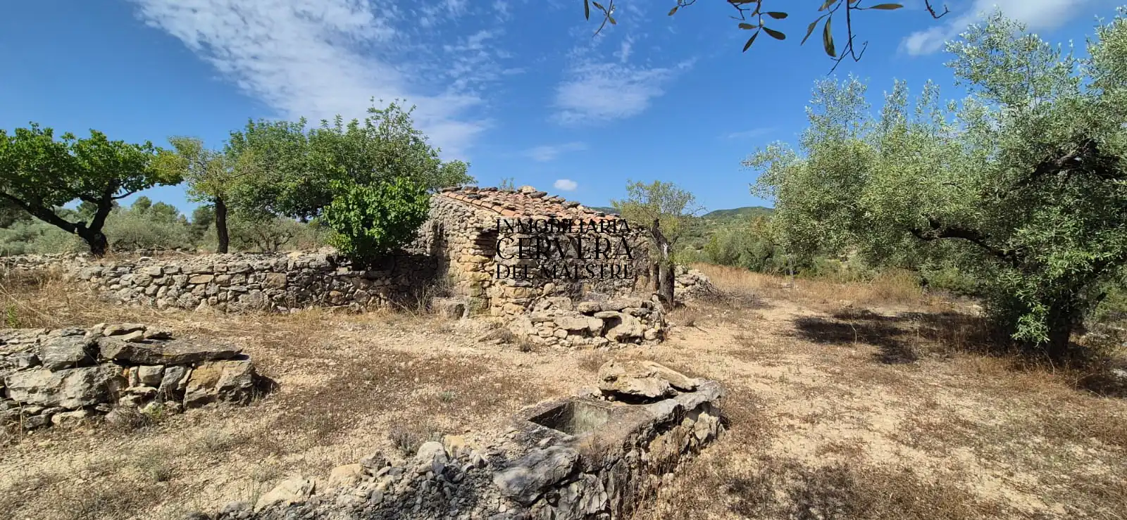 Terreno rustico in vendita a Cervera del Maestre, imagen 5