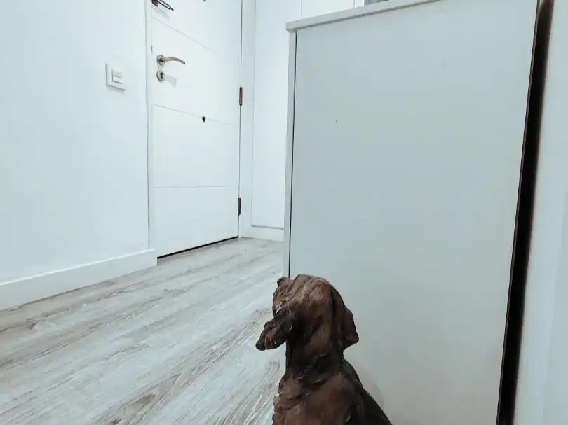 Wohnung mit Aufzug zur Miete in Santa Clara 6, imagen 15