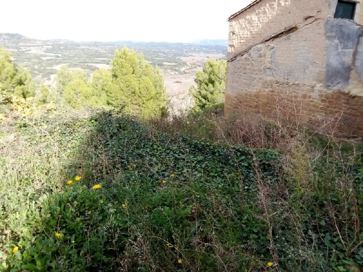 Terreno rustico in vendita a CL SANTA ANA, imagen 5