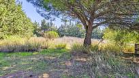 Country house zum verkauf in Chiclana de la Frontera mit Terrasse und Abstellraum